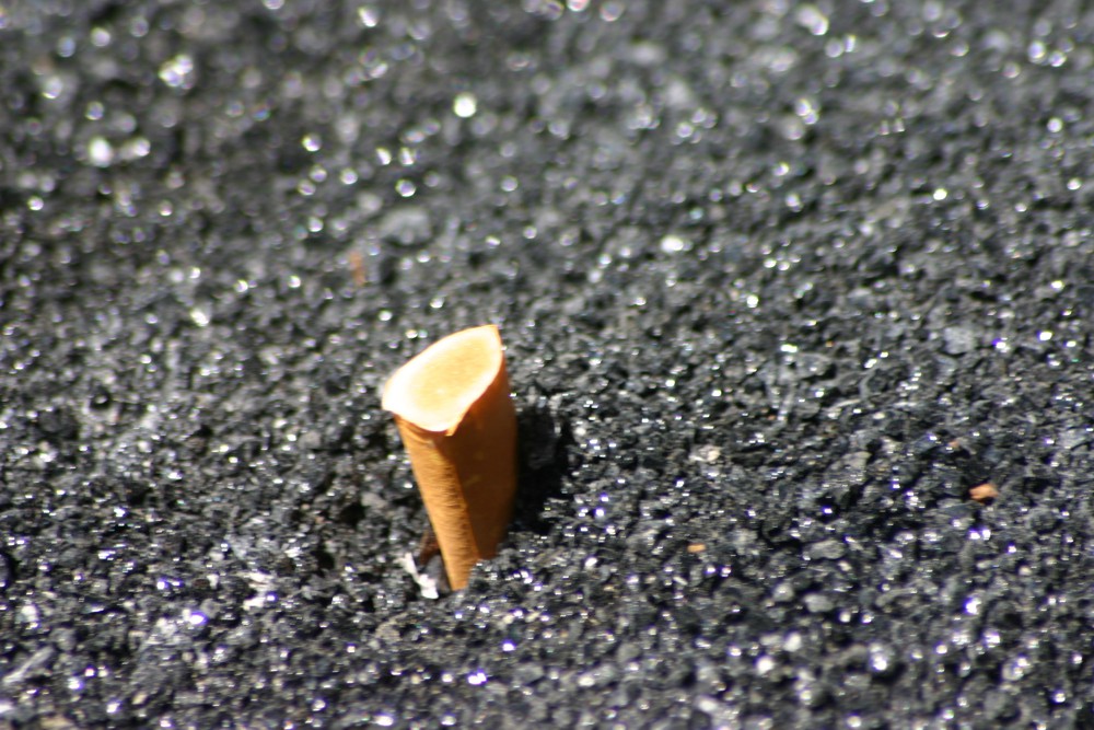 Cigarette Butt sticking out the asphalt by Kal Schreiber