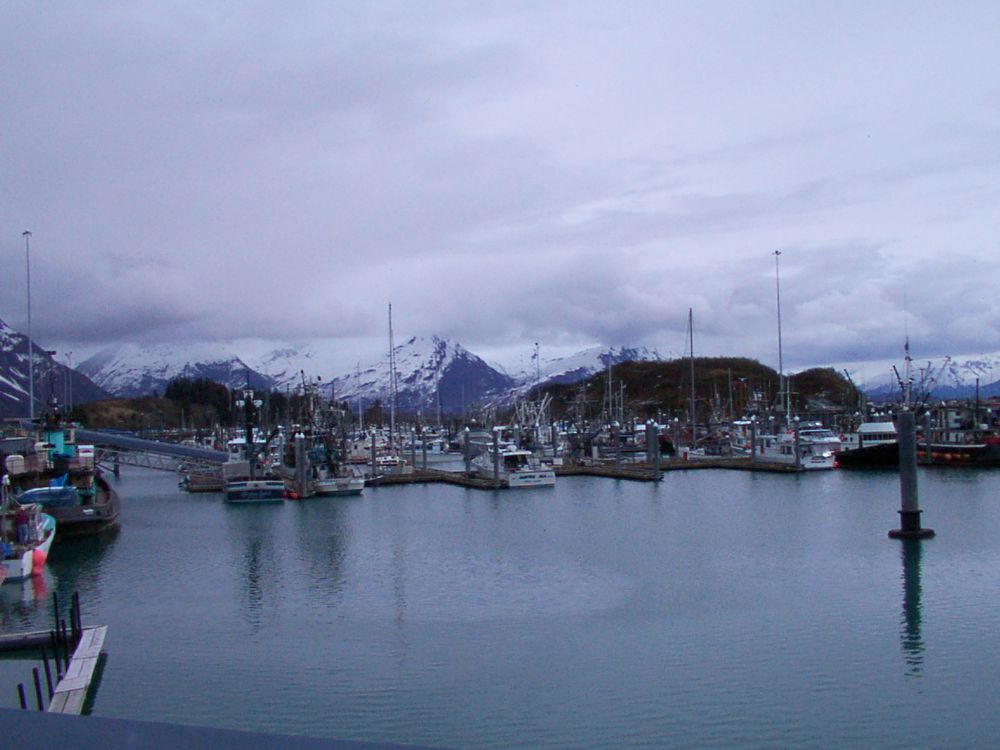 Valdez Harbour - Photo by Demnos 0813
